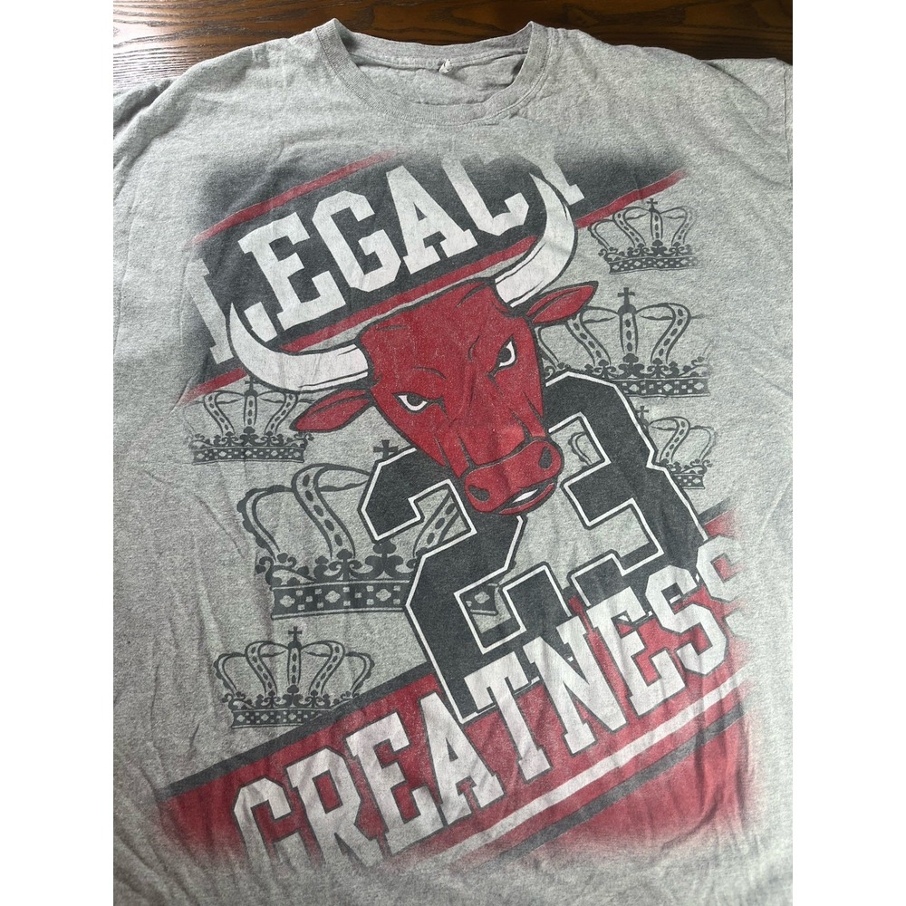 3Forty Collection MICHAEL JORDAN "Legacy CHICAGO BULLS Greatness" Gray XL Shirt